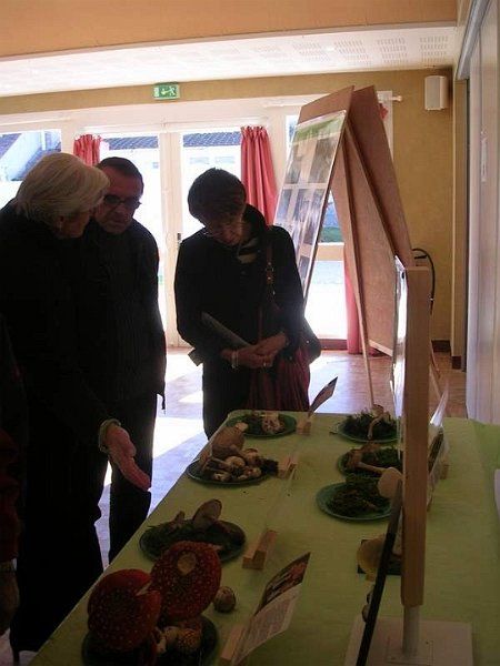 Expo champignons a St Leger 87